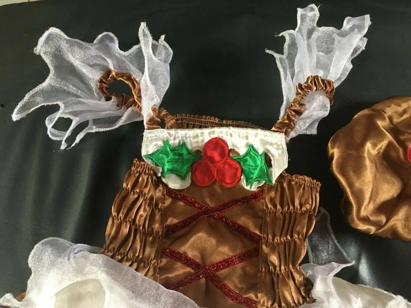 Rare and fantastic Pudding baby Christmas dress size 18 months / 2 years New Id – photo 3